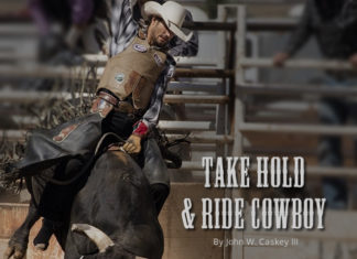 Take Hold & Ride Cowboy