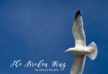 The Broken Wing