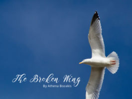 The Broken Wing