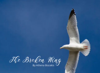 The Broken Wing