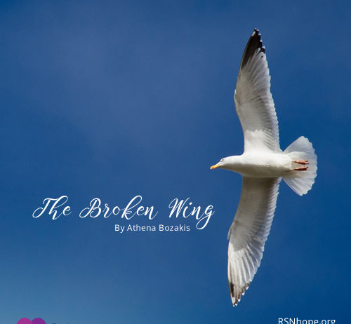 The Broken Wing