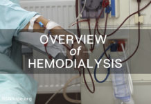 overview of hemodialysis