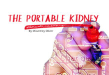 The Portable Kidney