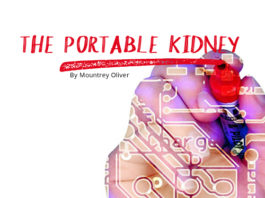 The Portable Kidney