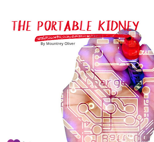 The Portable Kidney