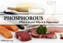 phosphorus renal diet