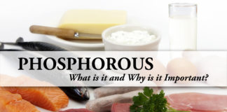 phosphorus renal diet