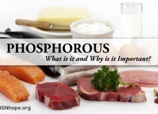 phosphorus renal diet