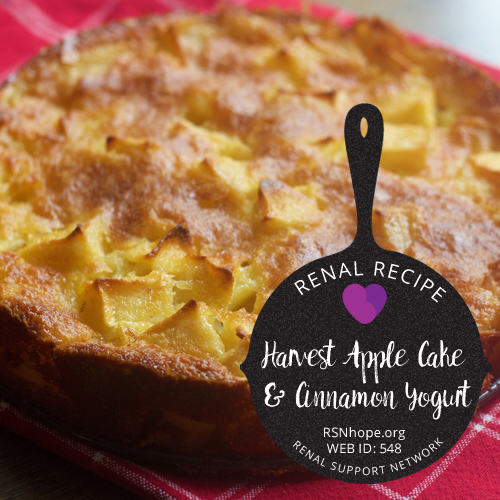 Renal Recipe- Apple Cake