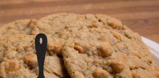 Renal Recipe-crispy Butterscotch