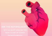 Why is Heart Disease the Main Cause Kidney Patients End Up Dying?