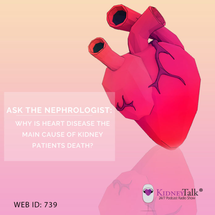 Why is Heart Disease the Main Cause Kidney Patients End Up Dying?