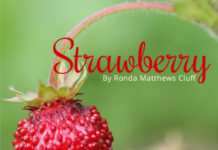 Strawberry