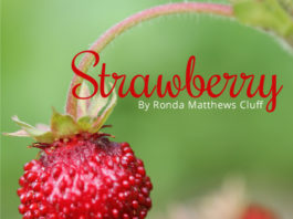 Strawberry