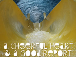 A Cheerful Heart and a Good Report-2