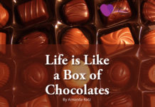 Life is Like a Box of Chocolates