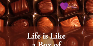 Life is Like a Box of Chocolates