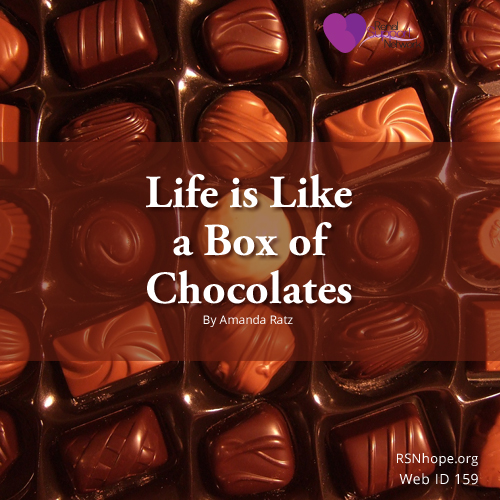 Life is Like a Box of Chocolates 1st Place Winner, 8th