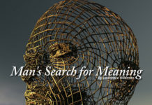 Man's Search for Meaning - 2010 essay