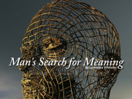 Man's Search for Meaning - 2010 essay