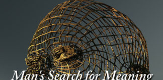 Man's Search for Meaning - 2010 essay