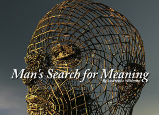 Man's Search for Meaning - 2010 essay