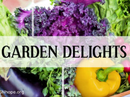 Gardening for Healthy Diet and Exercise