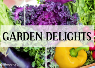 Gardening for Healthy Diet and Exercise