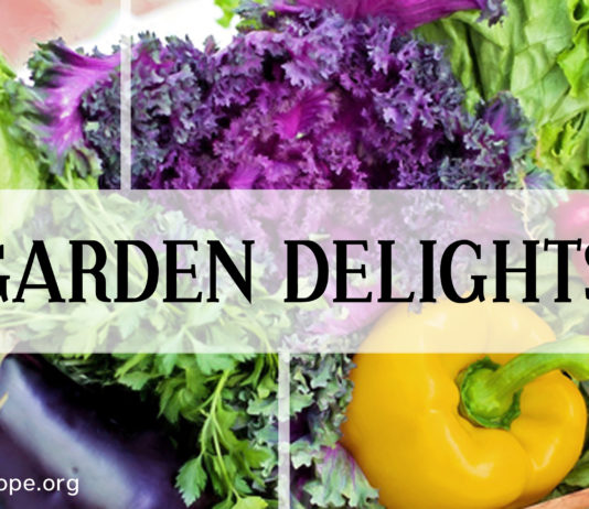 Gardening for Healthy Diet and Exercise