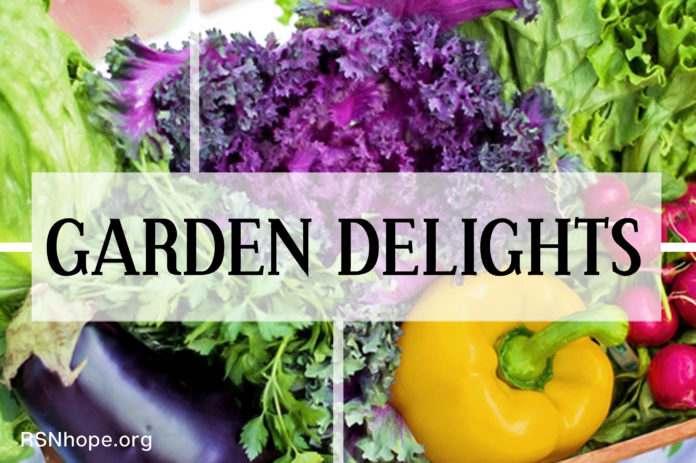 Gardening for Healthy Diet and Exercise