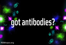 Antibodies Treatment options