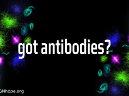 Antibodies Treatment options