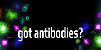 Antibodies Treatment options