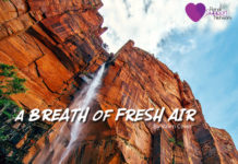 A Breath of Fresh Air