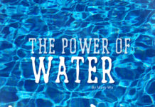 the power of water - 2011 essay