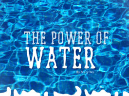 the power of water - 2011 essay