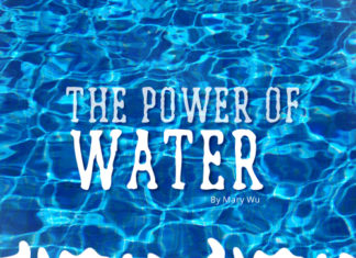 the power of water - 2011 essay