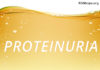protein in the urine albumin kidney disease