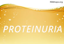 protein in the urine albumin kidney disease