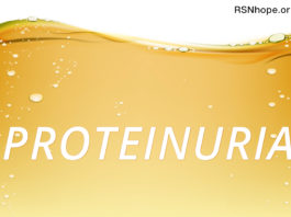 protein in the urine albumin kidney disease