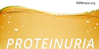 protein in the urine albumin kidney disease