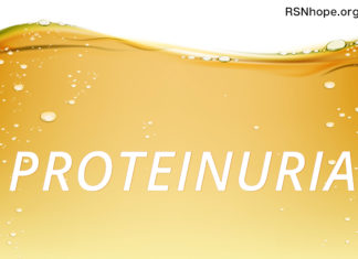 protein in the urine albumin kidney disease