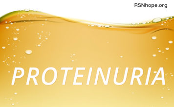 protein in the urine albumin kidney disease