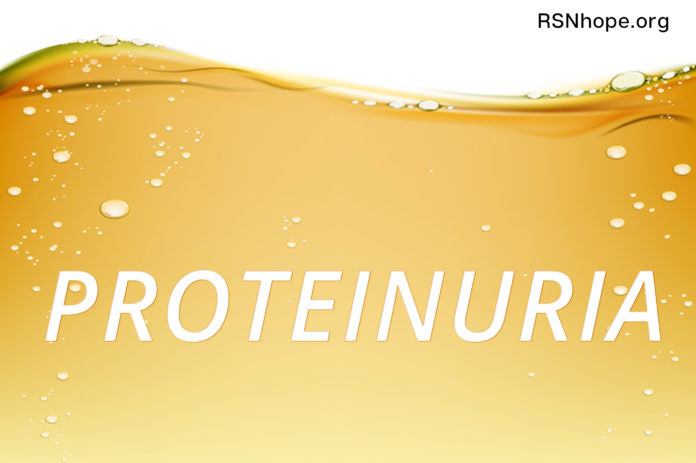 protein in the urine albumin kidney disease