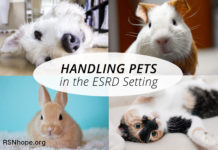 Handling Pets for the dialysis or transplant patient