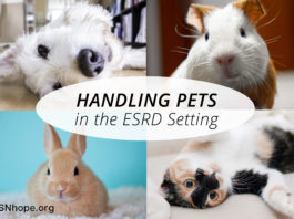 Handling Pets for the dialysis or transplant patient