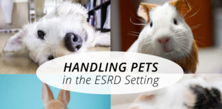 Handling Pets for the dialysis or transplant patient