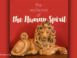 the resilience of the human spirit