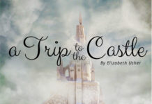 A Trip to the Castle - essay contest