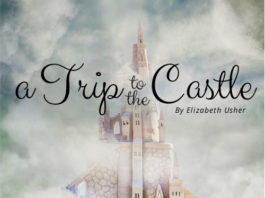 A Trip to the Castle - essay contest